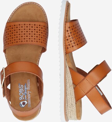 SKECHERS Strap Sandals 'DESERT KISS - SUNNY FLAIR' in Brown