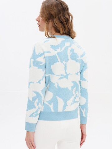 Passioni Pullover‌‌‌‌‌‌‌ in Blau