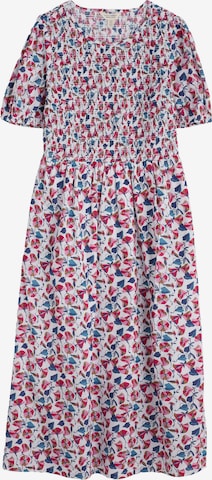 Seasalt Cornwall Mekko 'Meadowsweet' värissä monivärinen: etupuoli