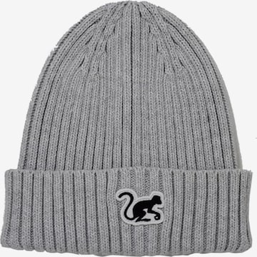 Surf Monkey Beanie in Grey: front