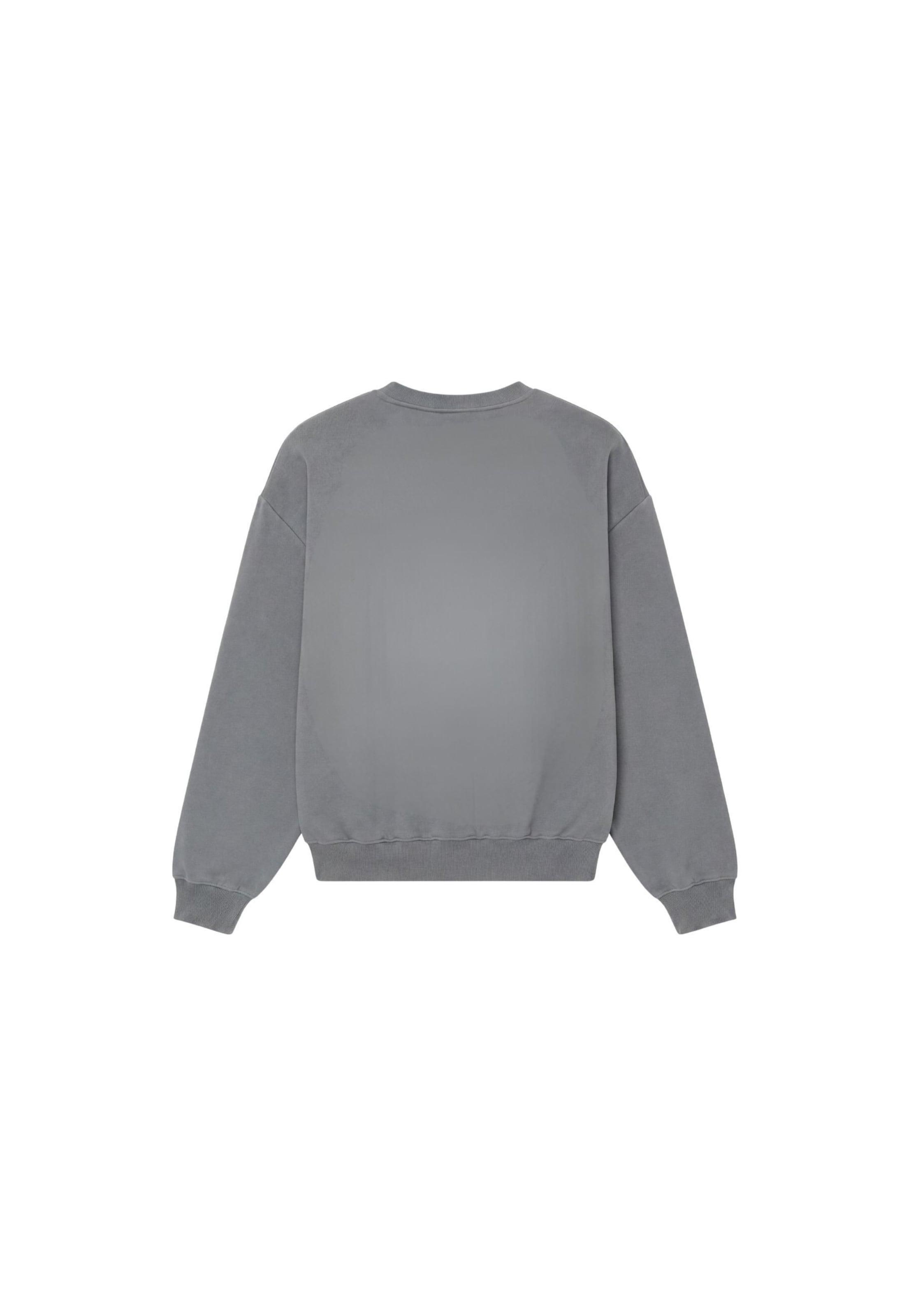 Colucci Sweatshirt 'College' in Grijs