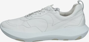 Högl Sneakers in White