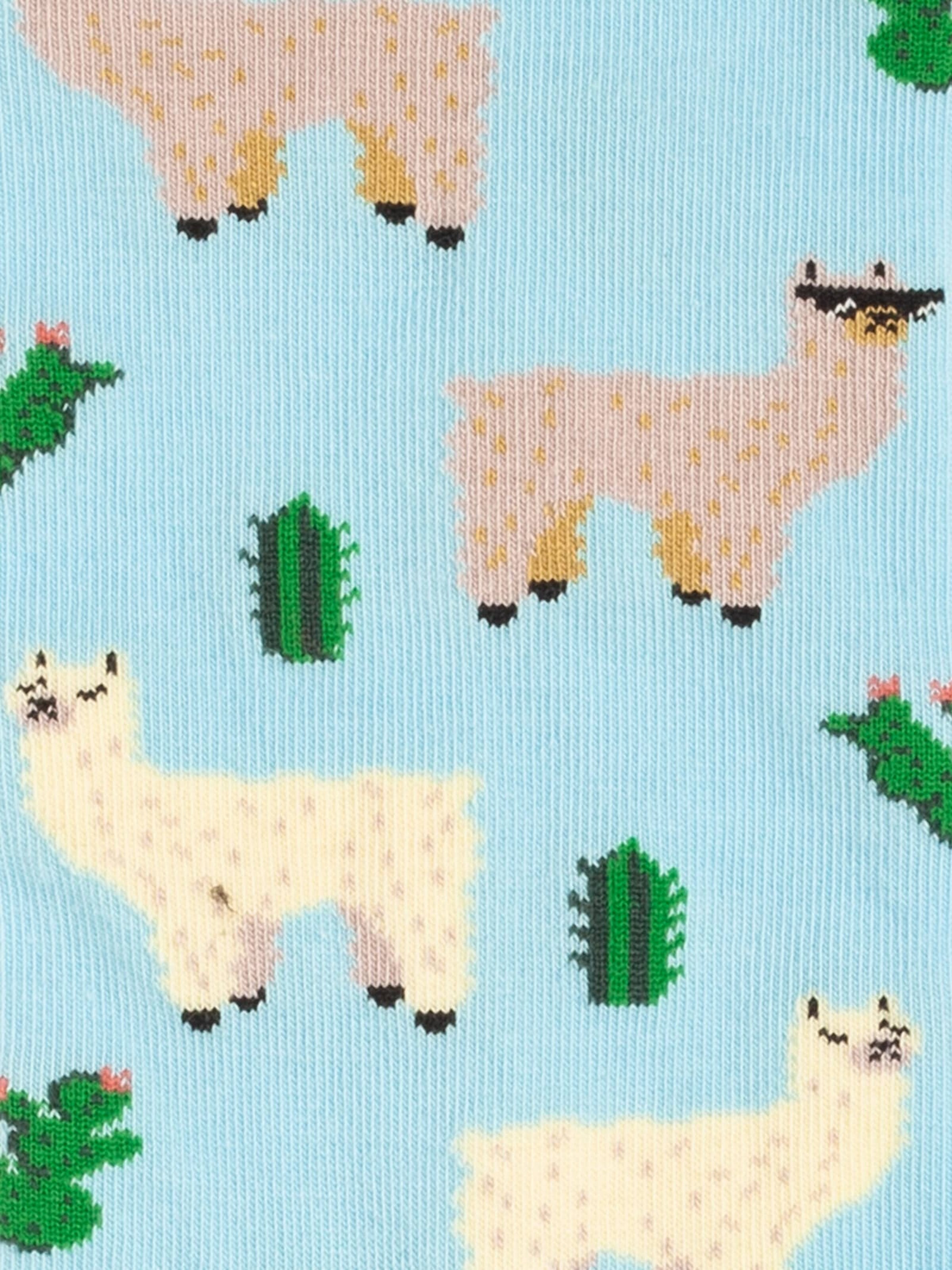 DillySocks Socken 'Geschenkbox - Paws & Friends (3er Box)' in Mischfarben