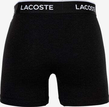 Boxers LACOSTE en gris