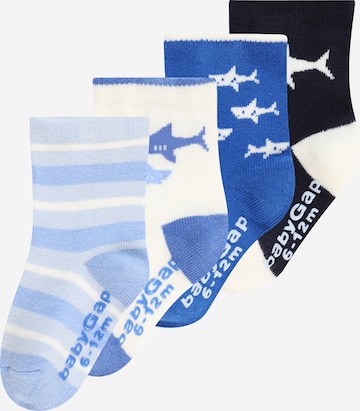 GAP Socks 'SHARK' in Blue: front