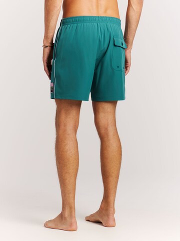 PROTEST Board Shorts 'PRTJayden' in Green