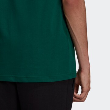 ADIDAS ORIGINALS T-Shirt 'Adicolor' in Grün