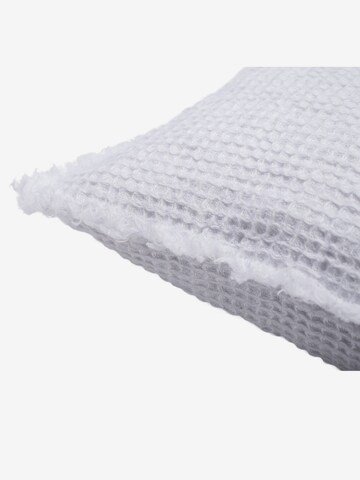 ZOEPPRITZ Pillow 'Honeybee' in White