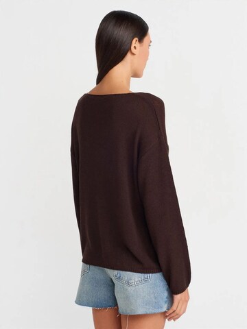 DilvinPulover 'Pullover' - smeđa boja