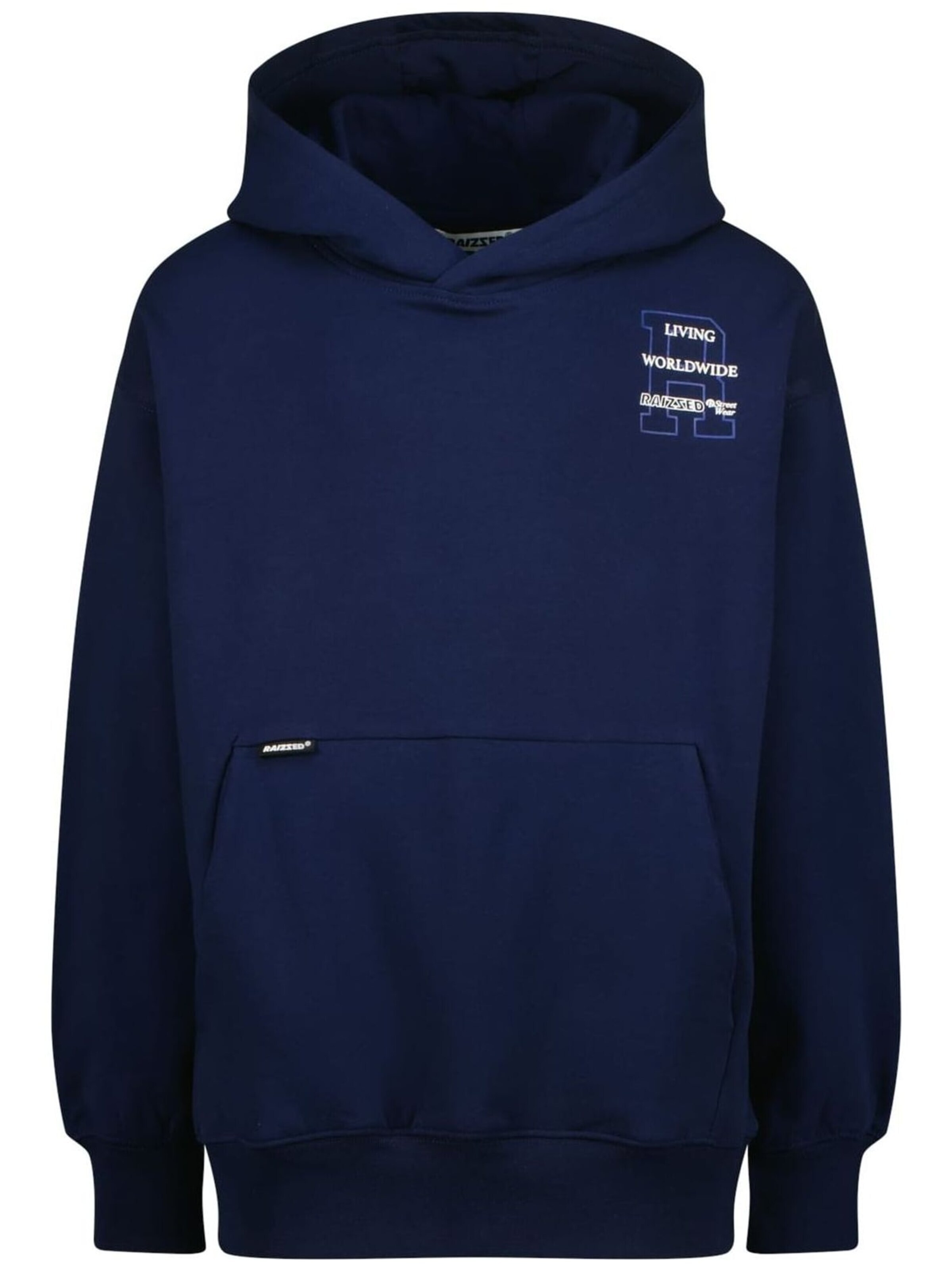 Raizzed Sweatshirt in Blauw: voorkant