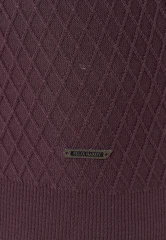 Felix Hardy Pullover in Braun