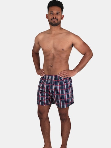wavebreaker Board Shorts in Blue