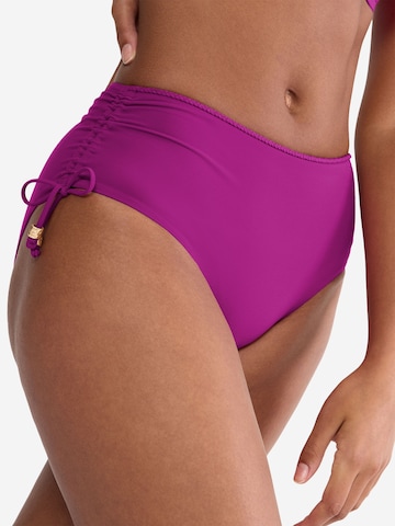 TRIUMPH Bikini bottom ' Red Label Summer Twist ' in Purple