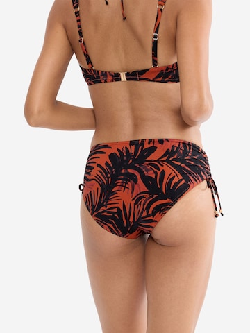 Bas de bikini ' Red Label Summer Palm ' TRIUMPH en marron