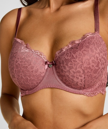 Hunkemöller BH in Lila
