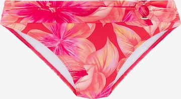 s.Oliver Bikinihose in Pink: Vorderseite