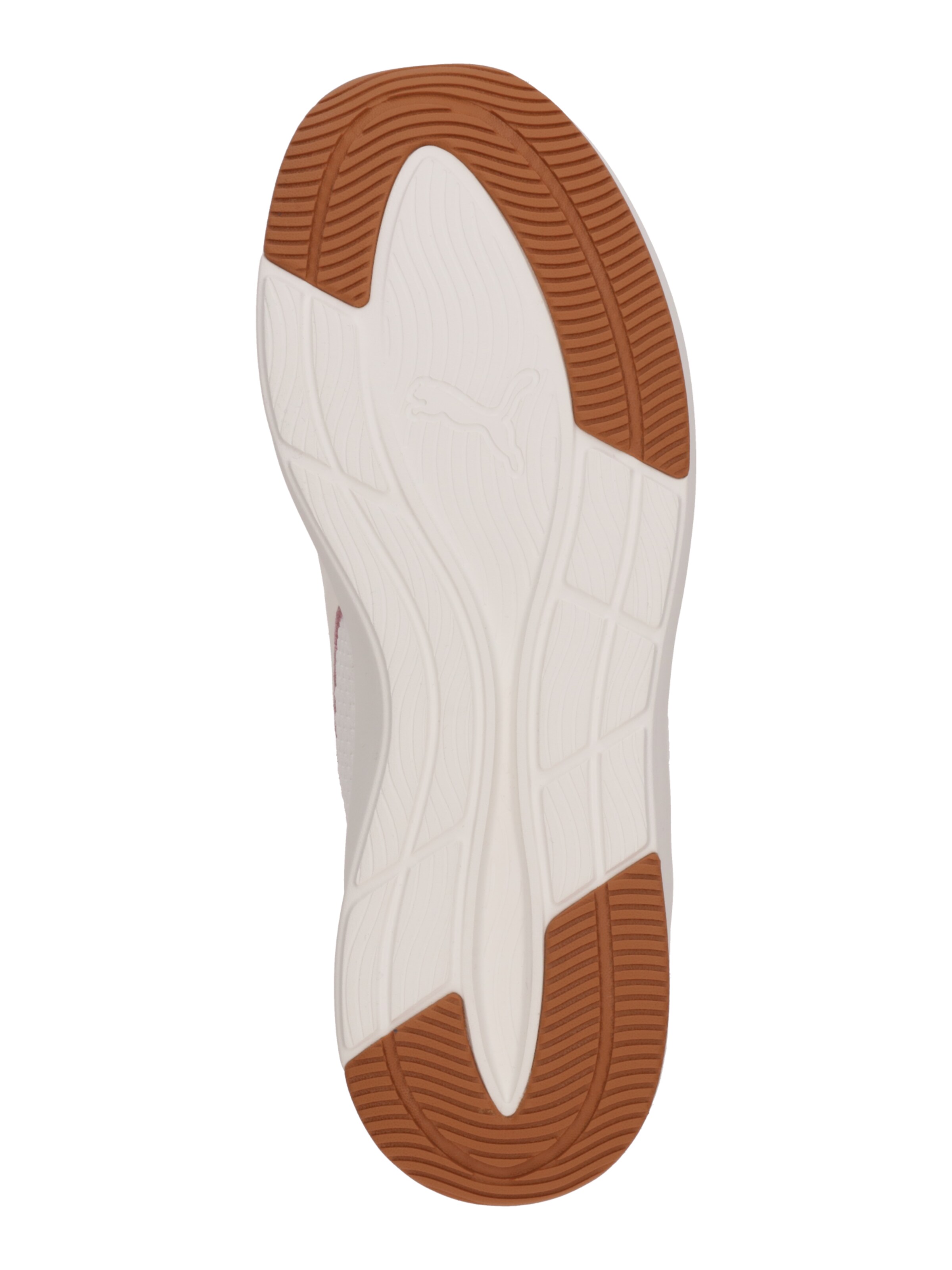 PUMA Παπούτσι για τρέξιμο 'Softride Harli' σε λευκό