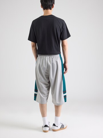 ADIDAS ORIGINALS Loosefit Παντελόνι σε γκρι