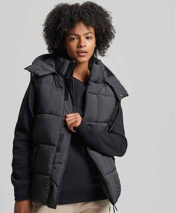 Superdry Bodywarmer in Zwart: voorkant