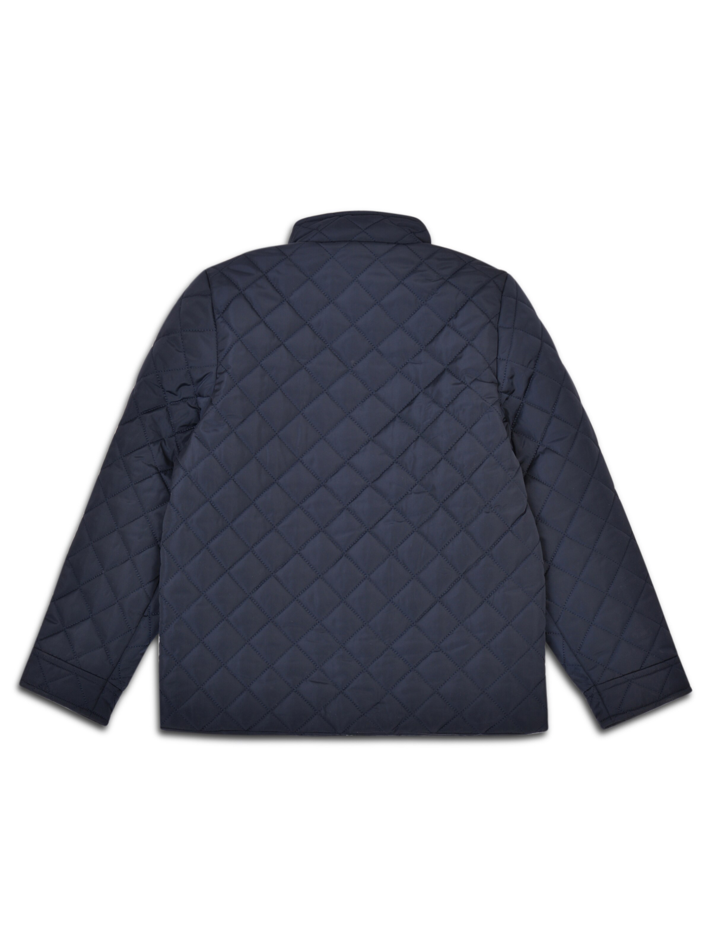Threadboys Between-season jacket 'Elijah' in Blue