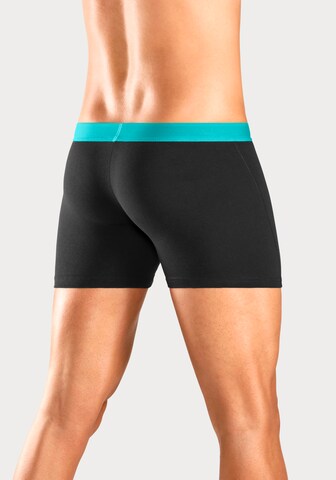 Bruno Banani Boxer shorts in Black