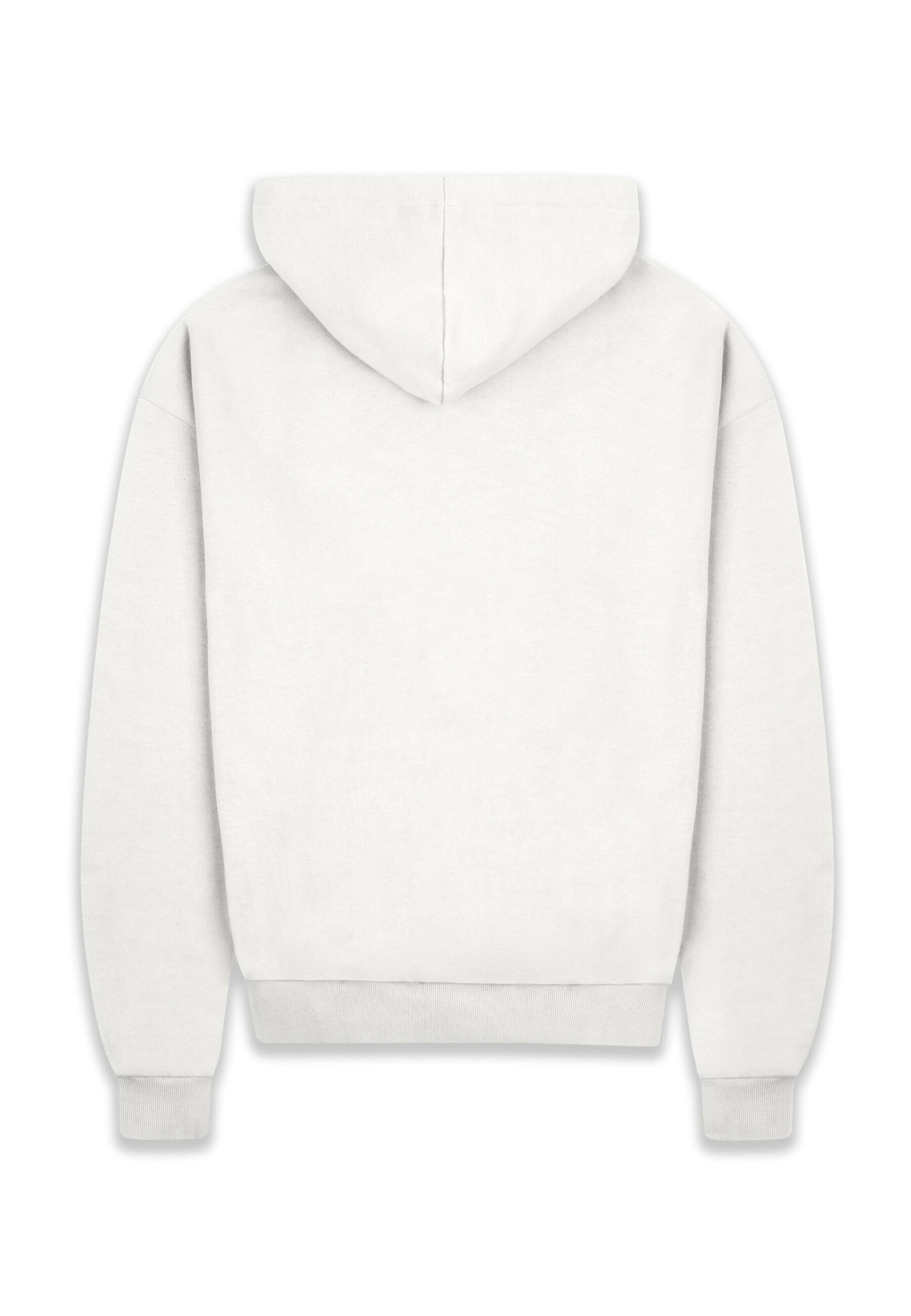 Dropsize Sweatshirt in White