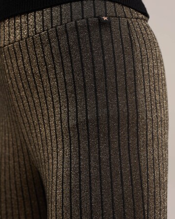 WE Fashion - Acampanado Leggings en marrón