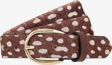 VANZETTI Belt in Brown: front