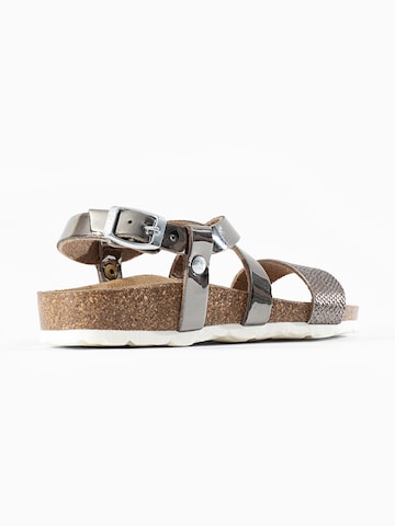 Sandales 'Enyo' Bayton en gris