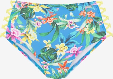 VENICE BEACH Bikinibroek in Blauw: voorkant