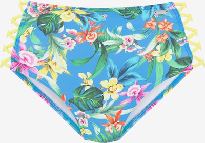 VENICE BEACH Bikinihose in blau / mischfarben, Produktansicht