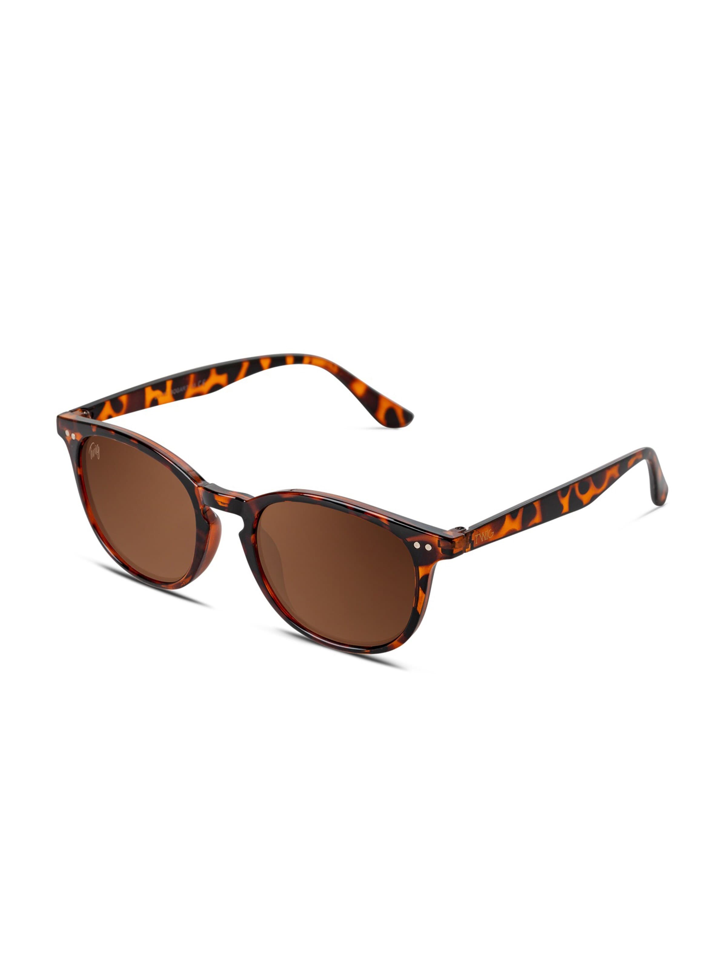 Lunettes de soleil 'Bogart' TWIG Concept Milano en marron : devant
