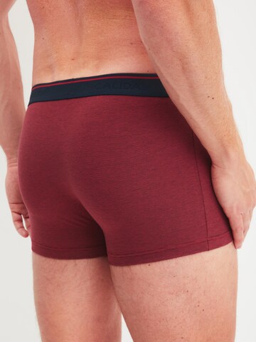 CALIDA Boxer shorts 'Cotton Stretch' in Purple