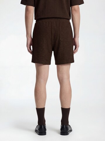 TRAPP Regular Hose in Braun