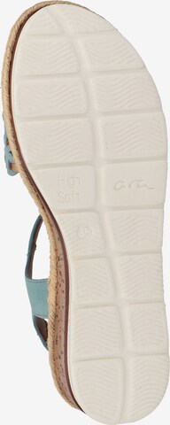 ARA Strap Sandals in Blue