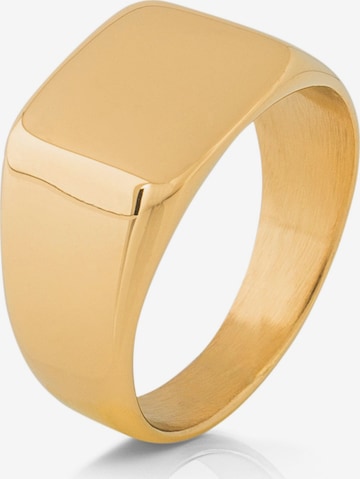 Akitsune Ring 'Solida' in Gold: Vorderseite