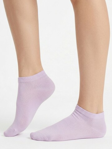 footstar Ankle Socks 'EVERYDAY!' in Purple