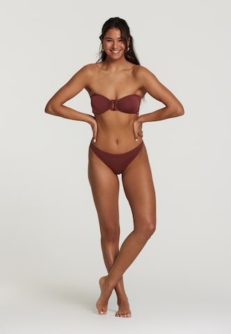 Shiwi Bandeau Bikini 'Zoe' in Brown