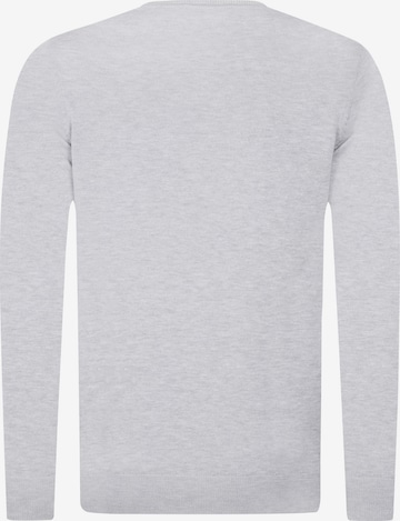 DENIM CULTURE Sweater 'MANNO' in Grey