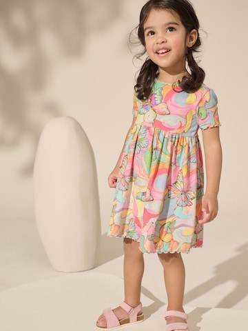Next Dress in Mixed colours