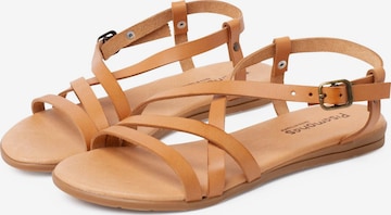 Pisamonas Sandals in Beige: front