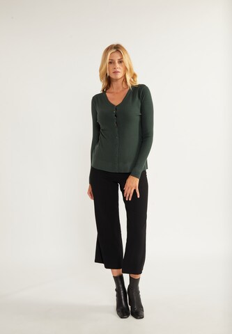 usha BLACK LABEL Gebreid vest in Groen