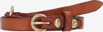 Campomaggi Belt in Brown: front