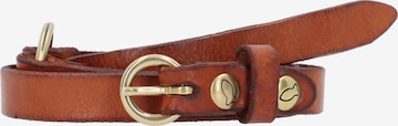 Ceinture Campomaggi en marron : devant