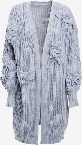mėlyna Influencer Kardiganas: priekis