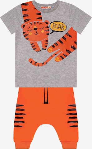 DENO Kids Set 'Orange Tiger' in Grau: predná strana