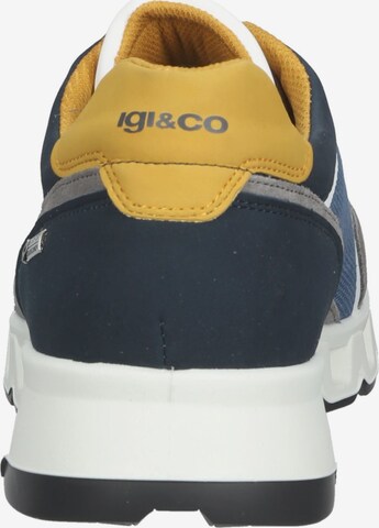 IGI&CO Sneakers laag in Gemengde kleuren