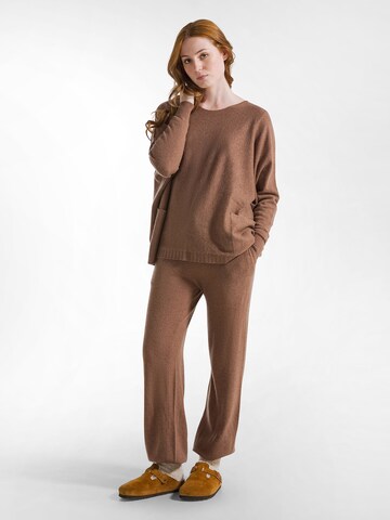 DEHA Slim fit Trousers in Brown: front