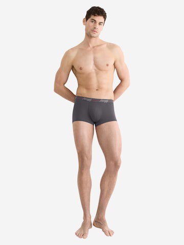 SLOGGI Boxershorts 'men Start'‌‌‌ in Grau