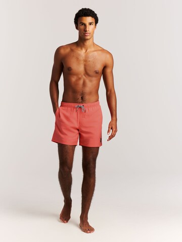 PROTEST Swimming shorts 'Davey' in Red